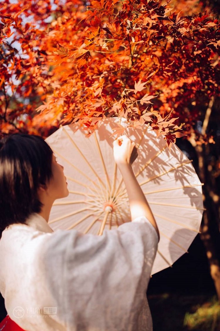 美女名媛妈妈桑短发和风少女户外唯美艺术写真