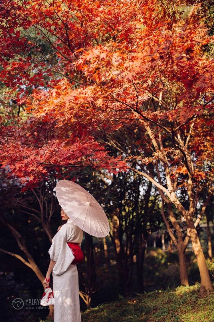 美女名媛妈妈桑短发和风少女户外唯美艺术写真