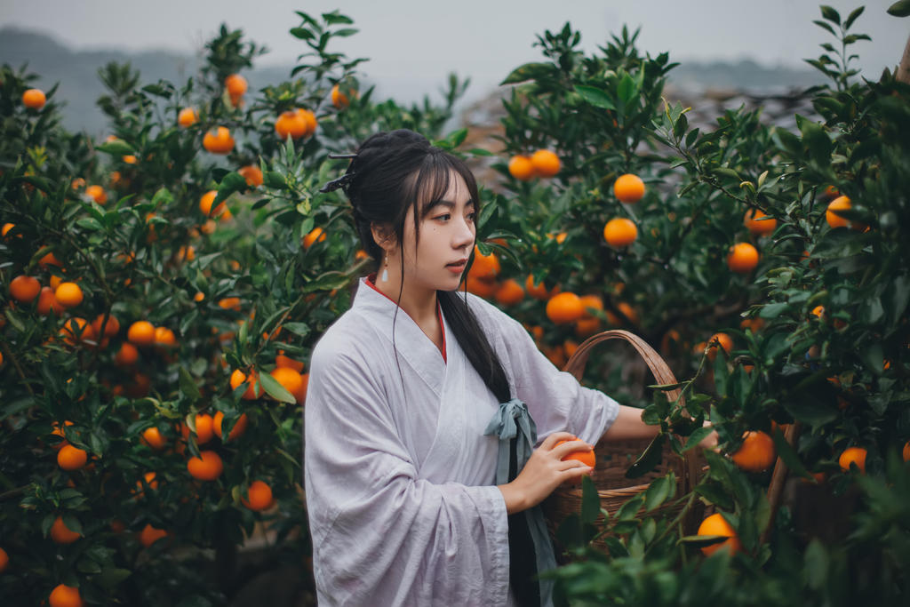 果园里的古装美女清新高清美女销魂图库