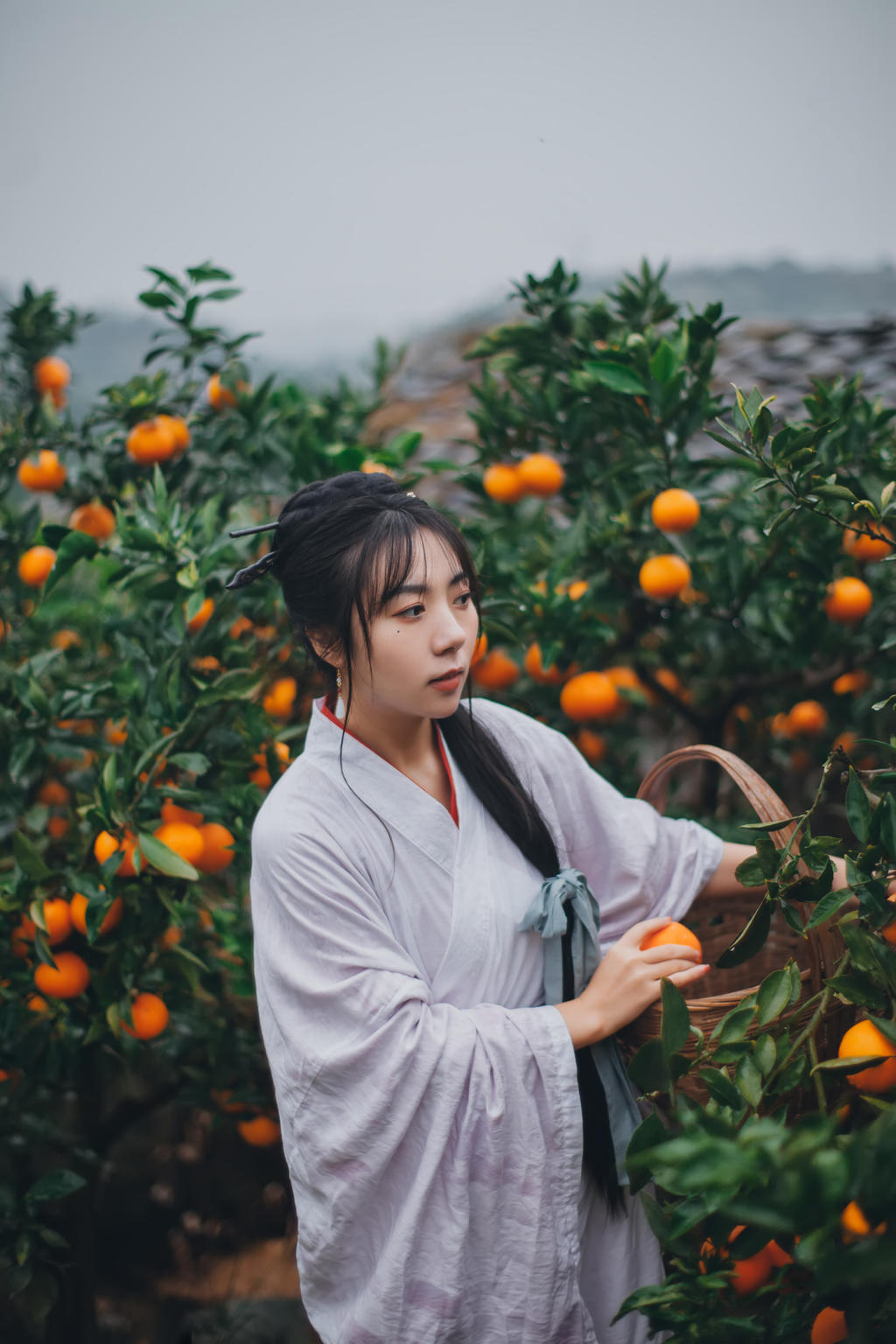 果园里的古装美女清新高清美女销魂图库