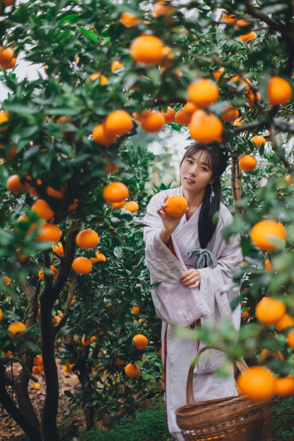 果园里的古装美女清新高清美女销魂图库