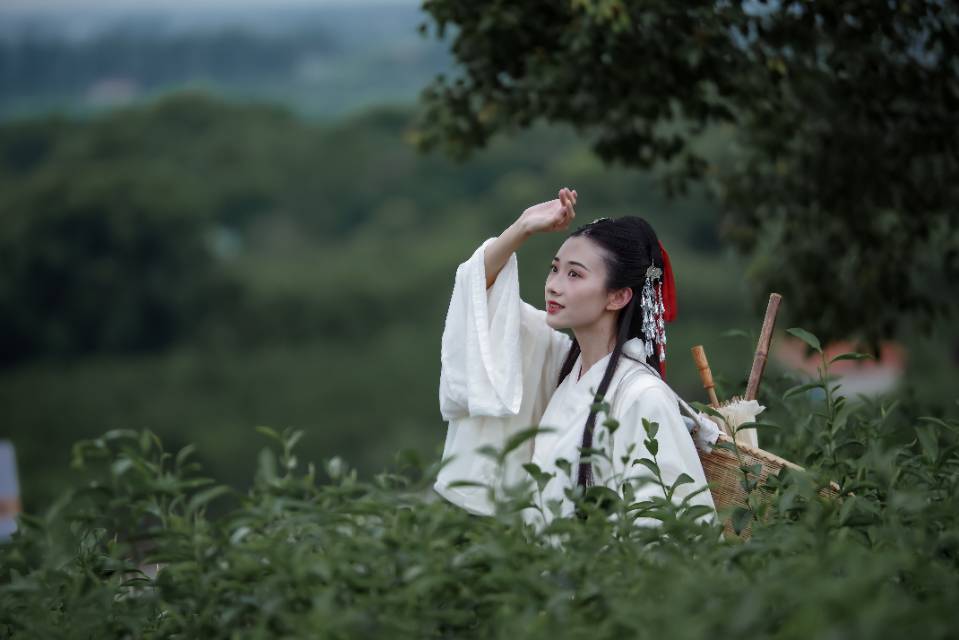 古装美女白衣飘飘茶园无码制服中出图片