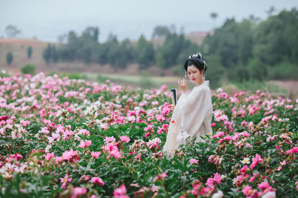 汉服美女置身花海唯美一区二区三区免费写真裸体美女图片