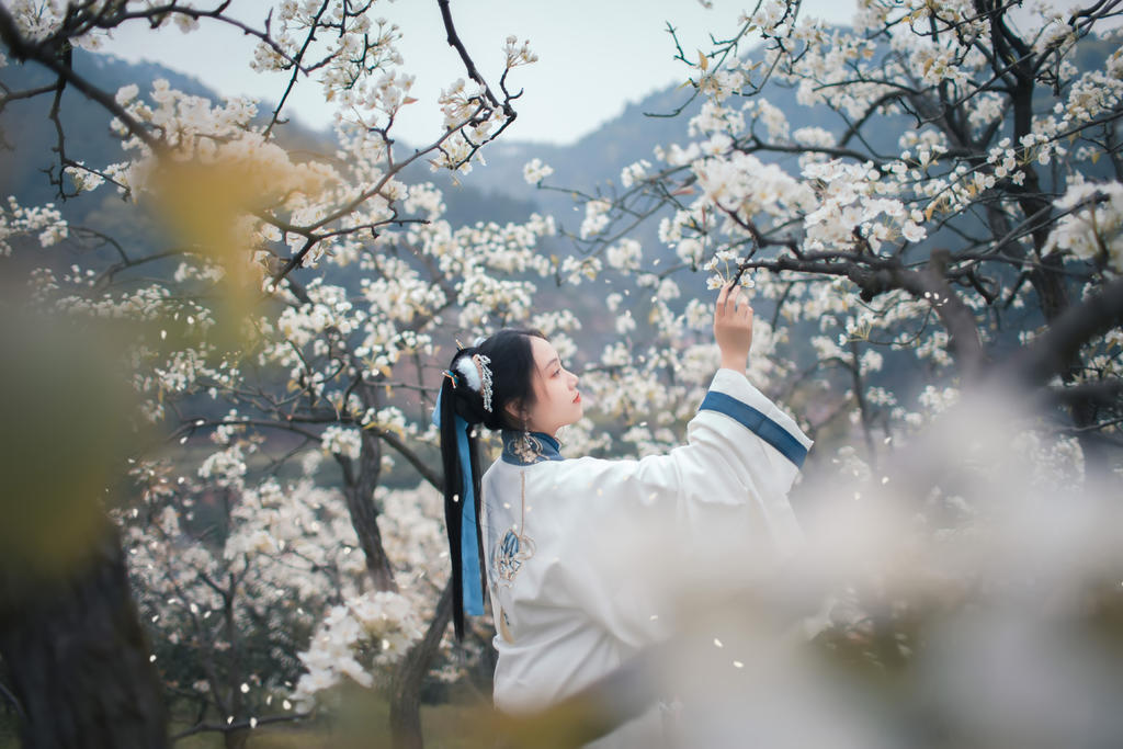 樱花树下汉服美女唯美超粉嫩oo福利合集