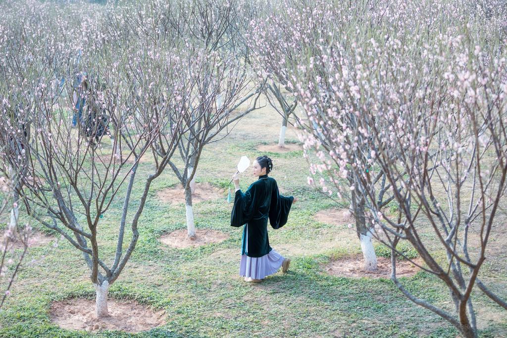 樱花树下汉服美女高贵美女裸照图片