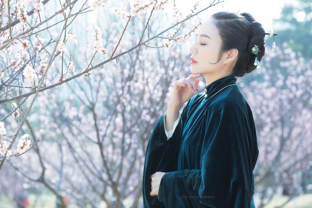 樱花树下汉服美女高贵美女裸照图片