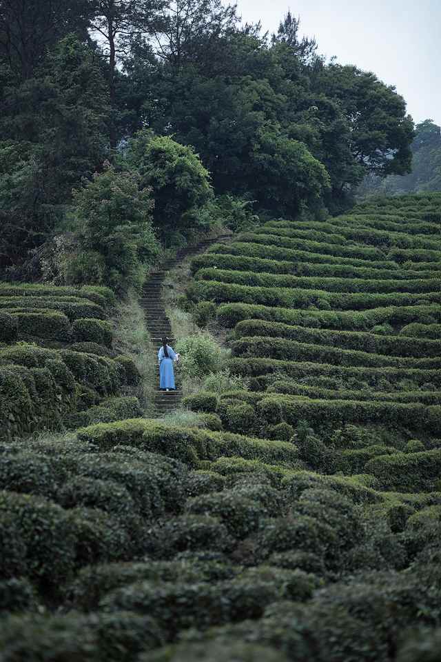 典雅漂亮的美人唯美古自卫慰福利免费看尿口图片