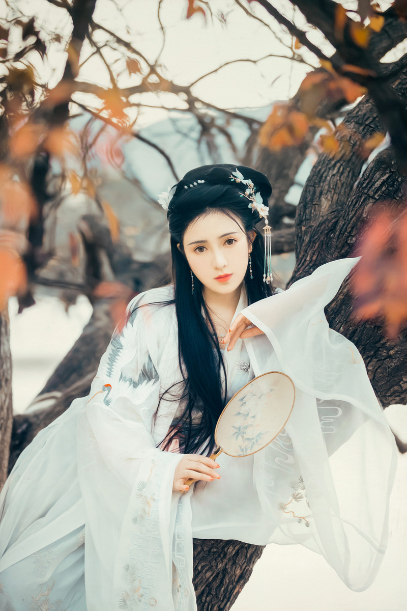 鹅蛋脸汉服美女轻纱飘cosplay私人写真福利