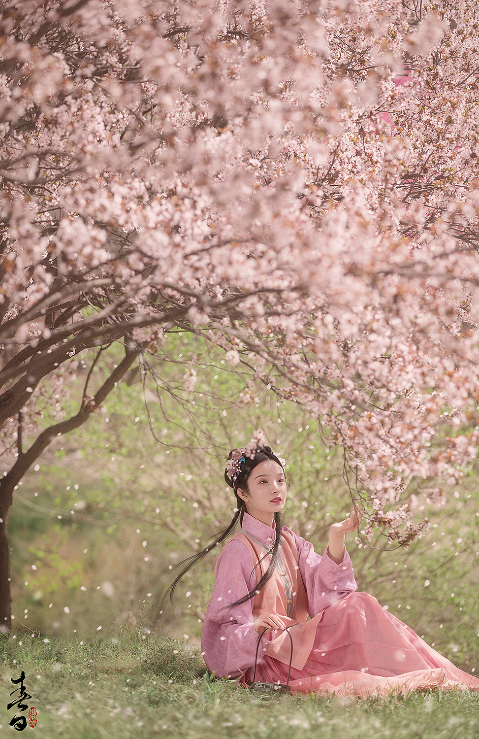 古装美女粉色汉服花园西西最大胆的写真图片