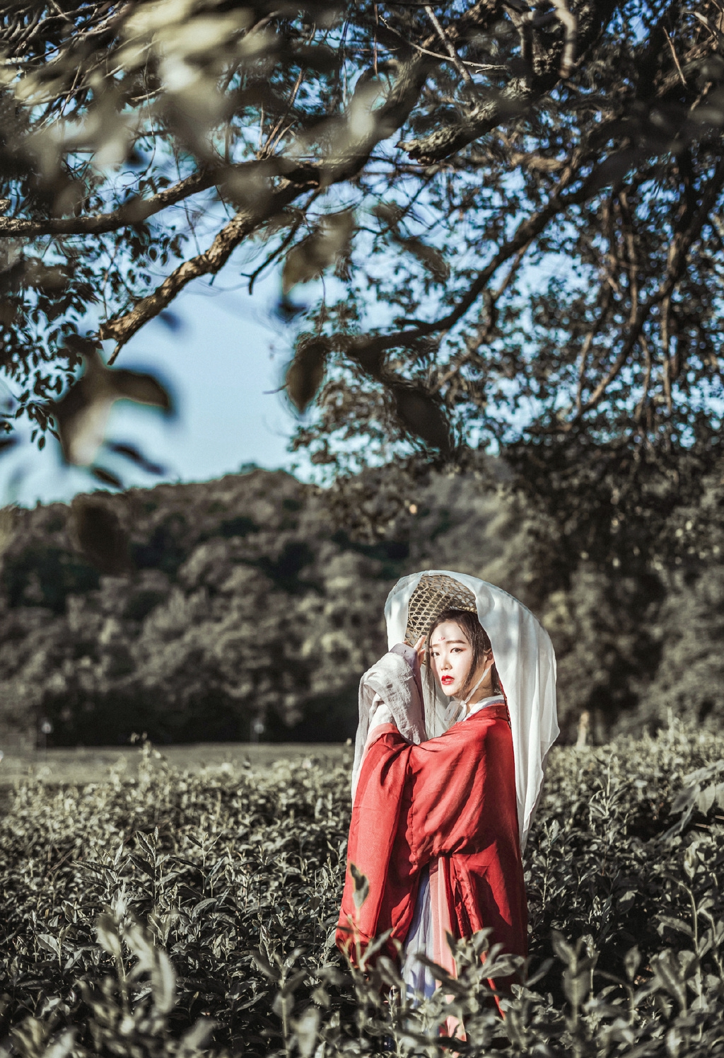 韩国性感美女低胸诱惑扒开粉嫩小泬的图片