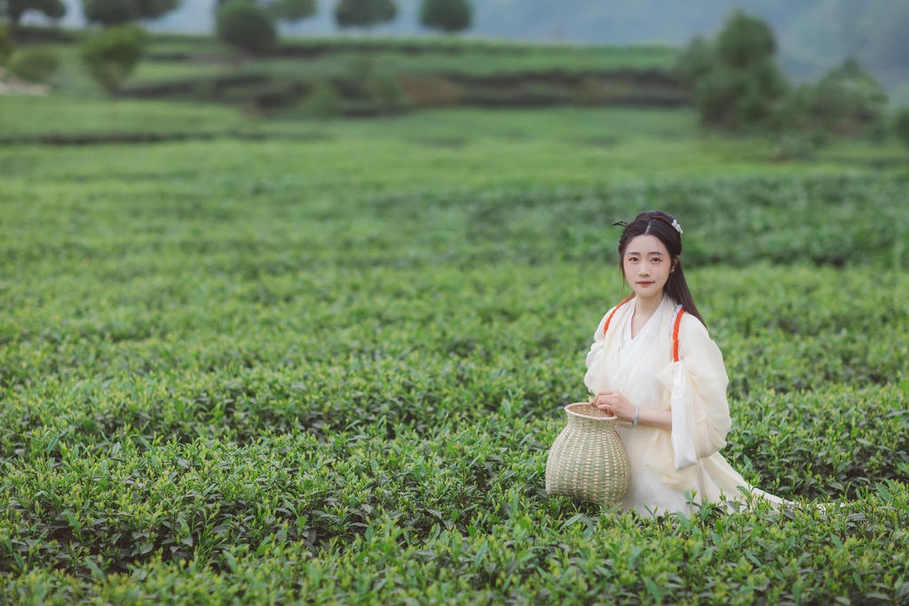 茶园中的白衣美女清新二次元ps正能量图片