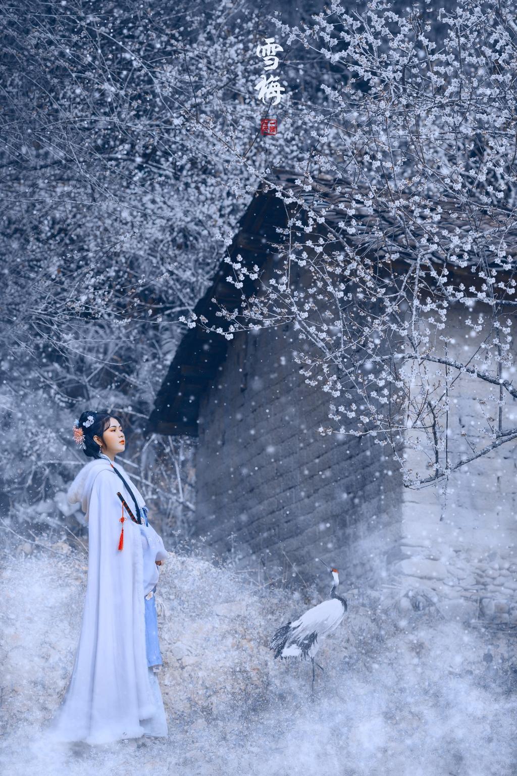 白衣古装美女漫天白雪美女露%100的奶头无挡写真