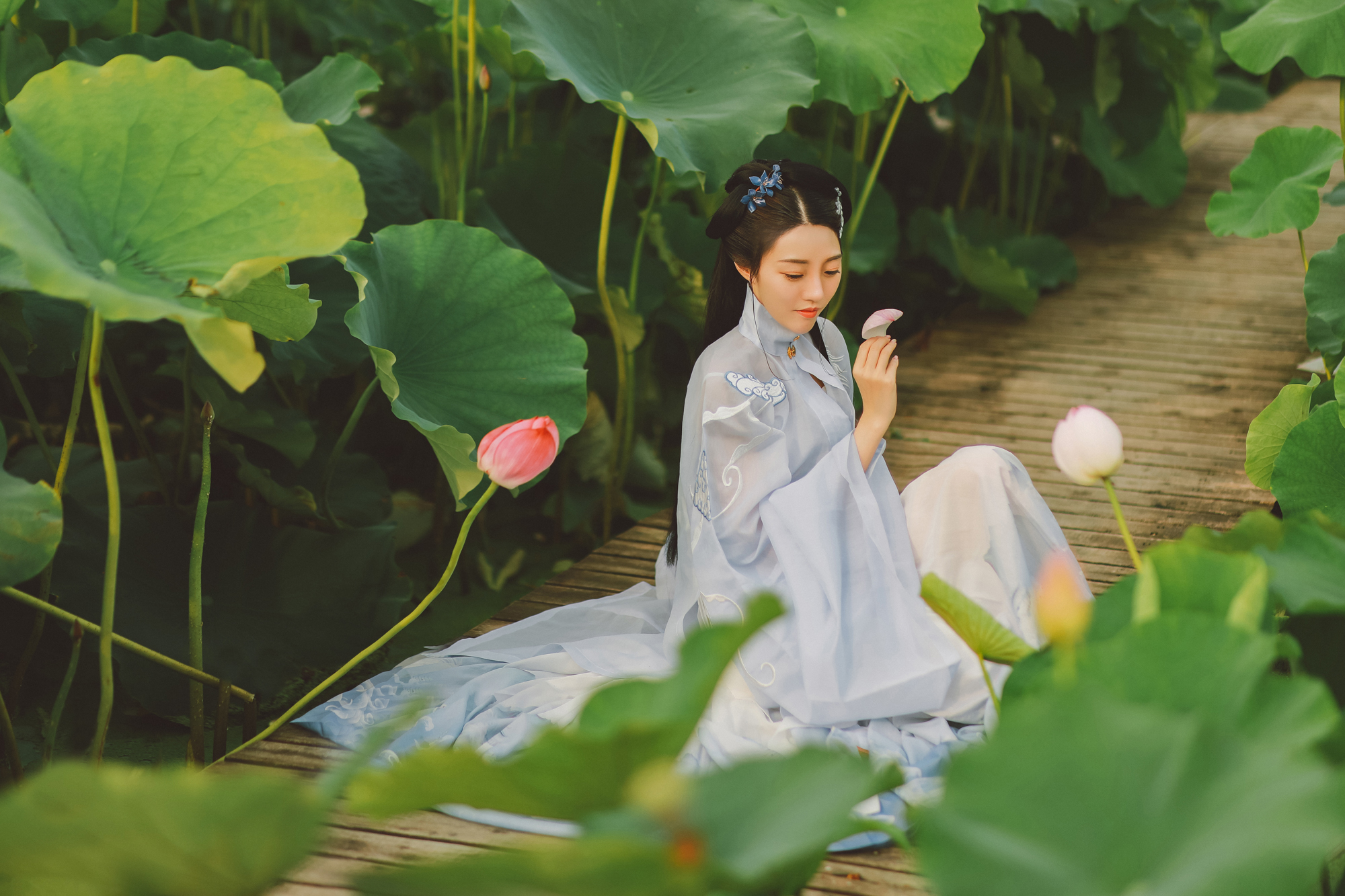 夏日荷塘美女淡色古装黑丝图片