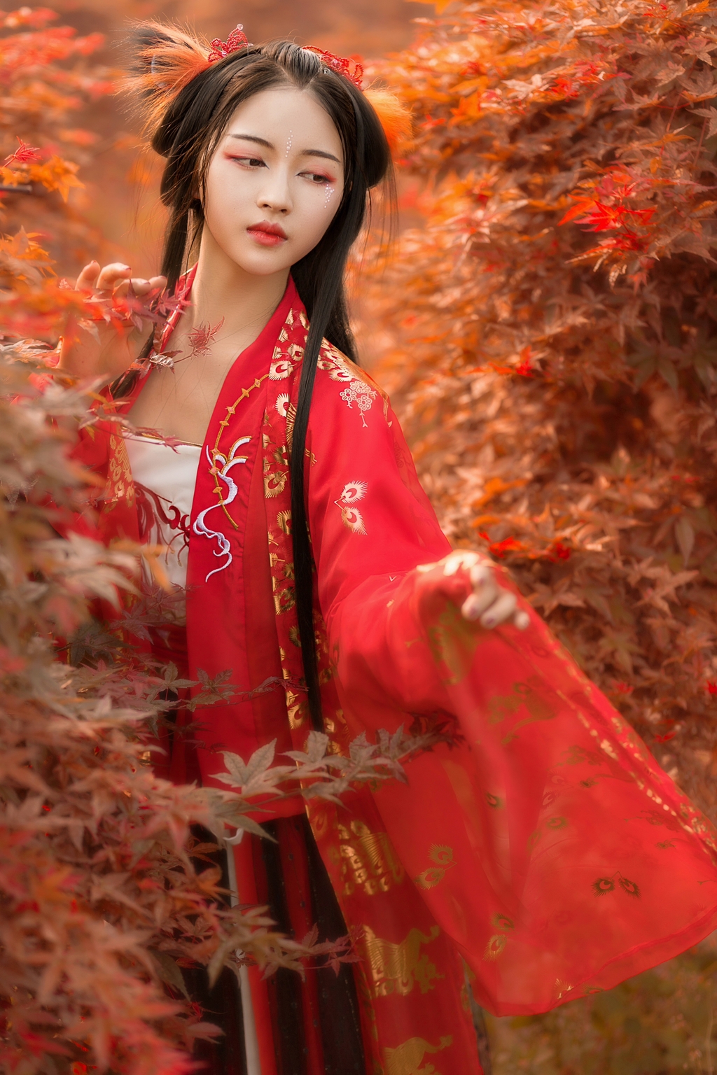 红枫树林火红艳丽古装精品图套高清图片