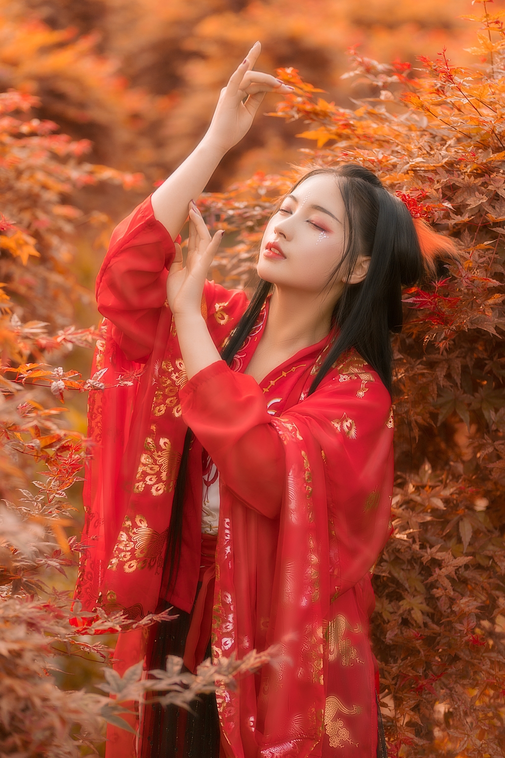 红枫树林火红艳丽古装精品图套高清图片
