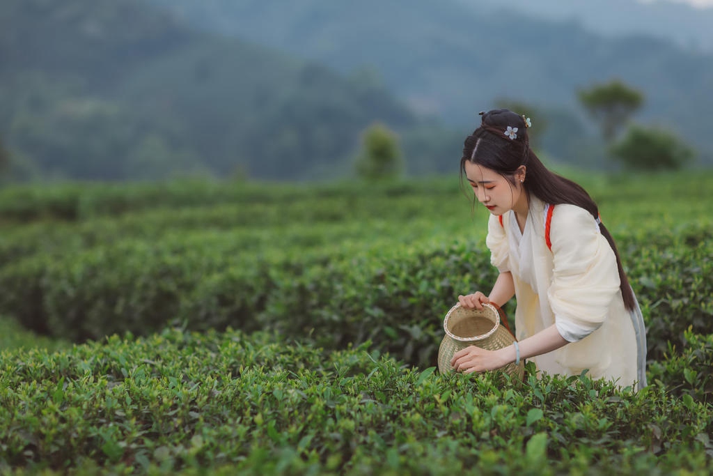 茶园中的白衣美女清新玩弄学生刚刚发育的小馒头