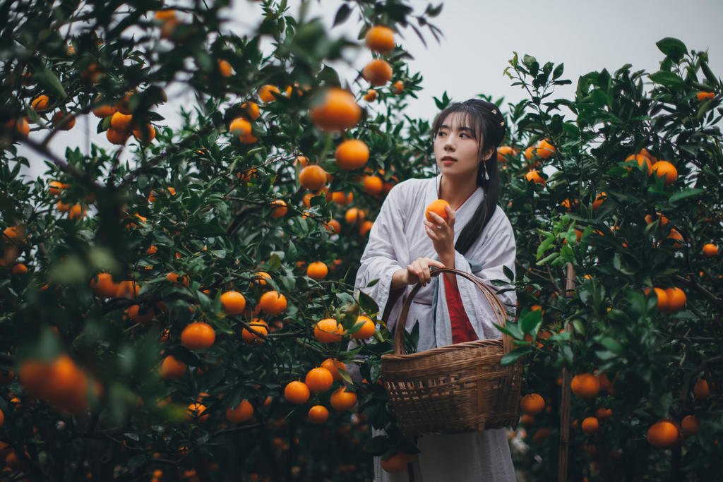 果园里的古装美女清新裸露胸部正版摄影图