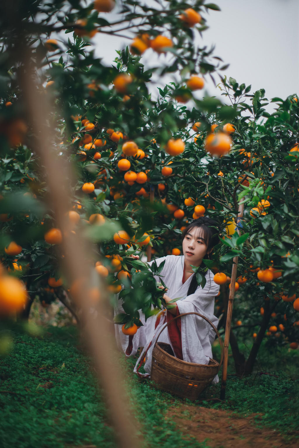 果园里的古装美女清新裸露胸部正版摄影图