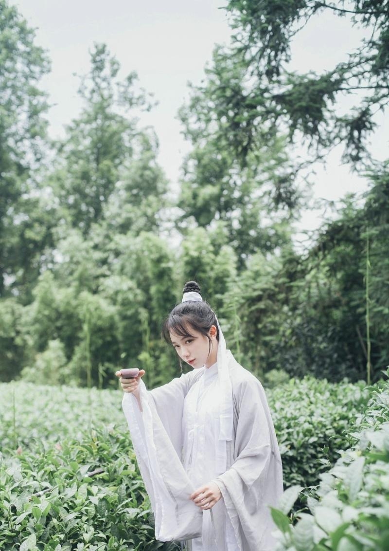 古装美女白衣飘飘清新张筱雨图片