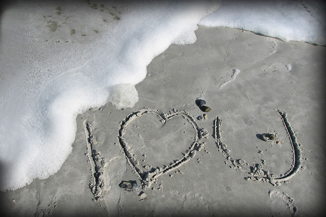我爱你写在沙滩上的字图片