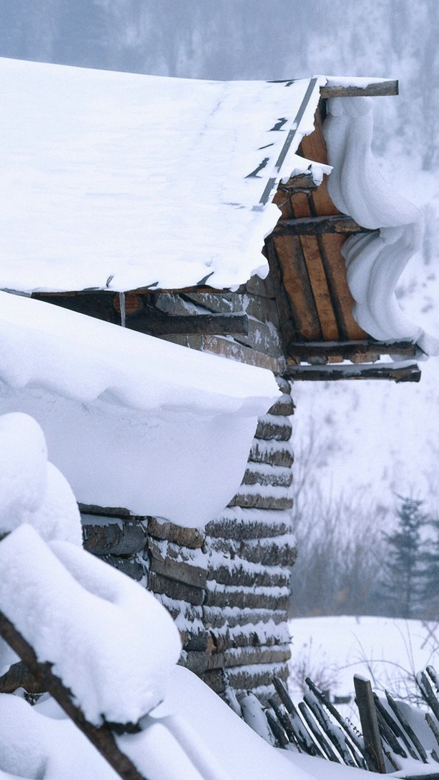 唯美冬日雪景高清手机壁纸