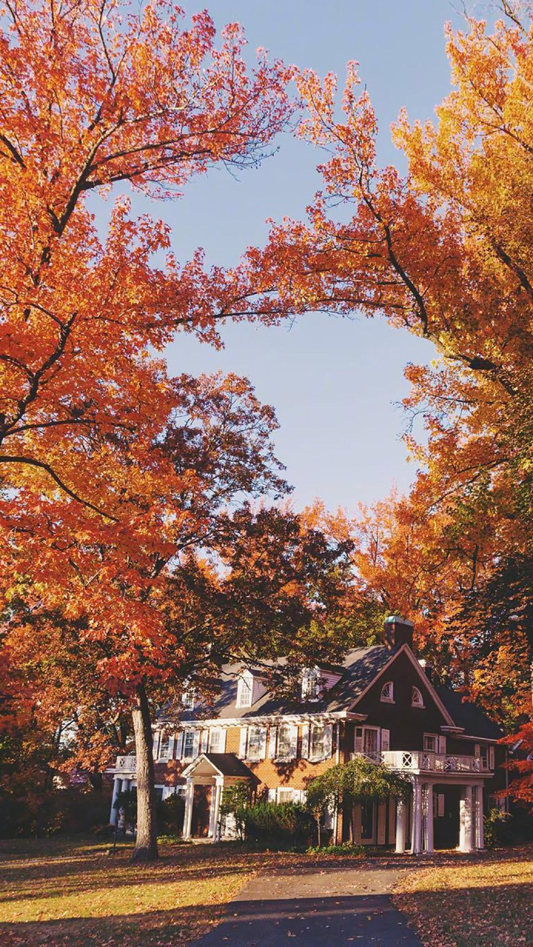 唯美秋季落叶景色图片手机壁纸