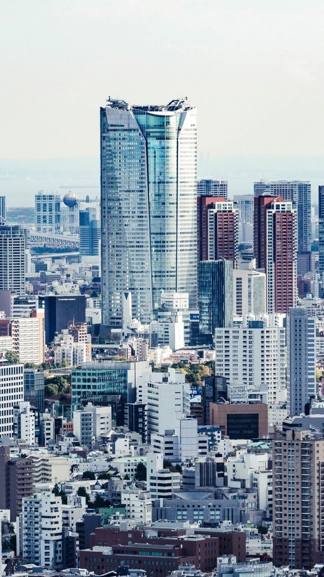 高楼林立的繁华城市风景图片手机壁纸