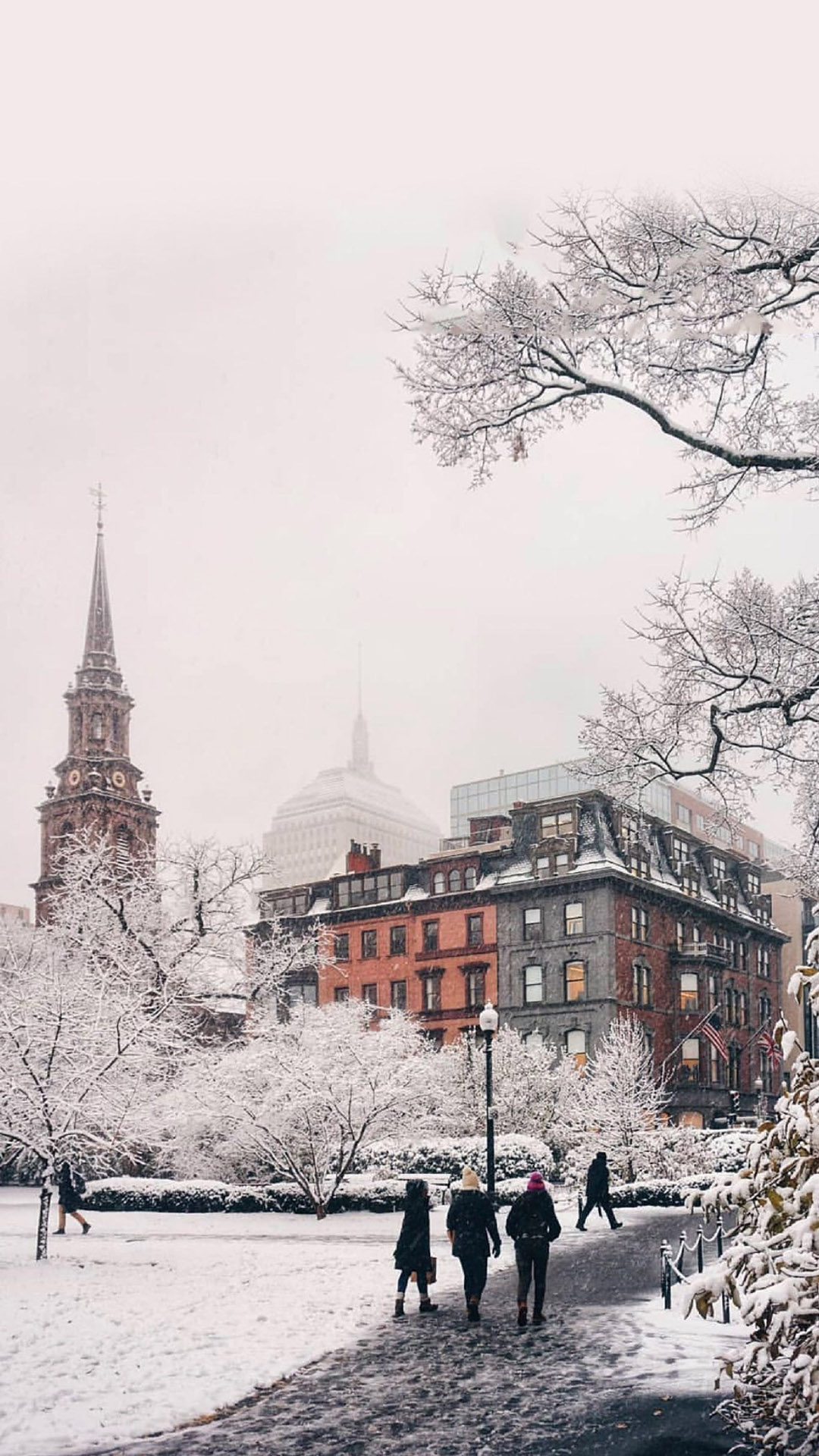 雪白唯美的冬日雪景高清图片手机壁纸