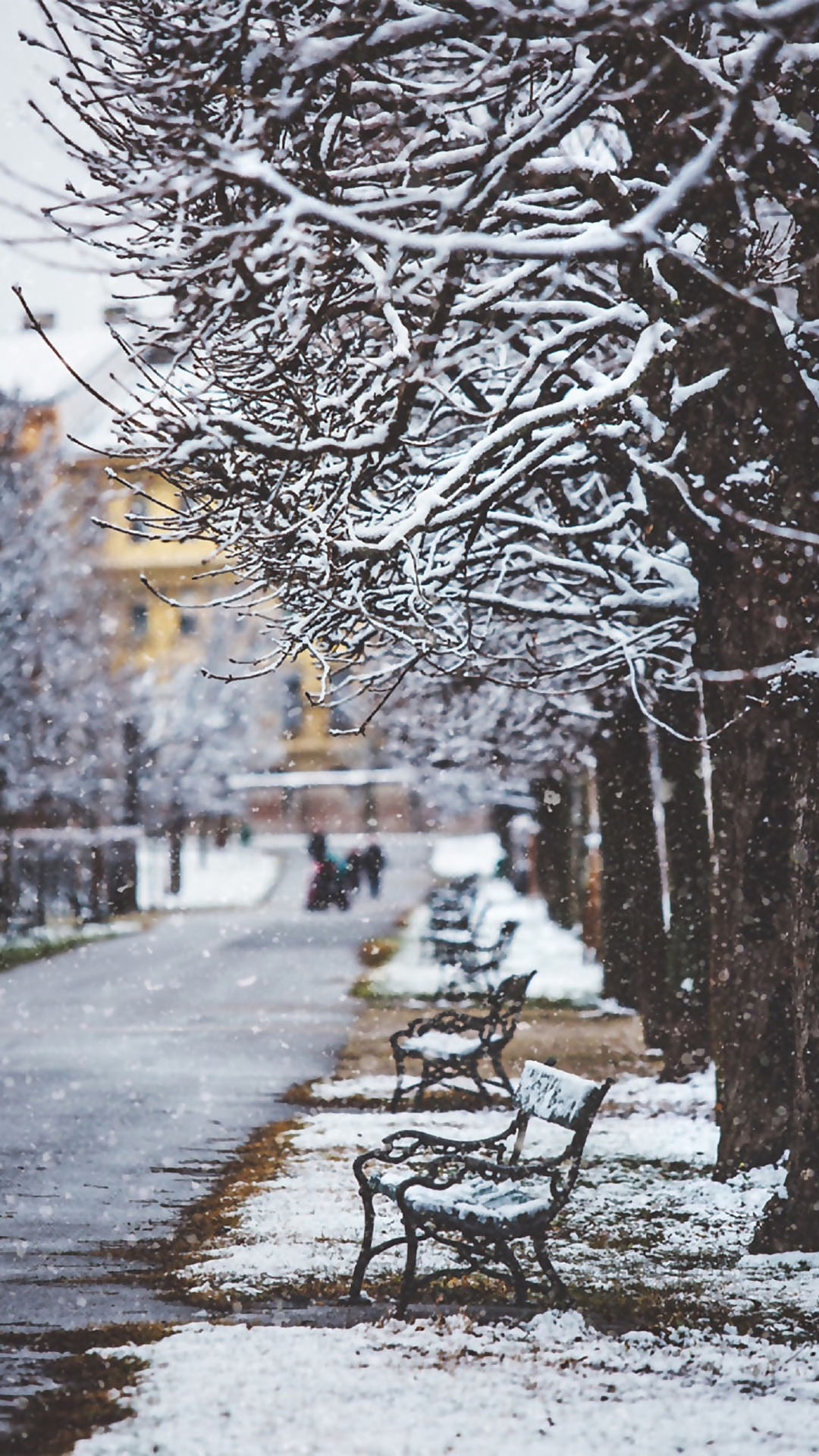 冬季国外唯美雪景高清图片手机壁纸