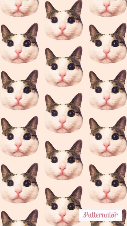 可爱的猫咪平铺图案手机壁纸第一辑